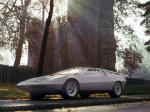 Volkswagen-Porsche Tapiro by ItalDesign 1970 года